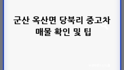 군산 옥산면 당북리 중고차 사고이력 조회 완벽 가이드
