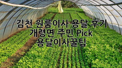 김천 원룸이사 용달 후기🏠 개령면 주민 Pick! #용달이사꿀팁